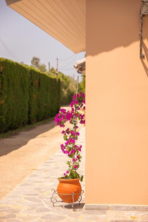 Kourouta Villas Amaliada Bagian luar foto